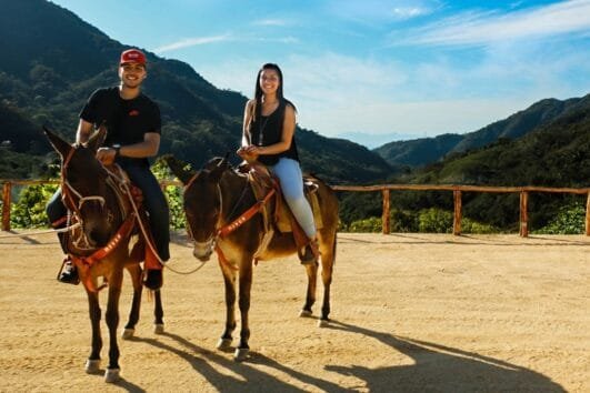 Tour De Caballos / Mulas