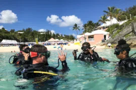 PADI Open Water Diver Referral