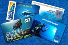 Certificación Buzo / PADI Scuba Diver Certification