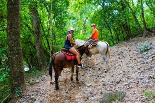 Canopy + Mulas Adulto